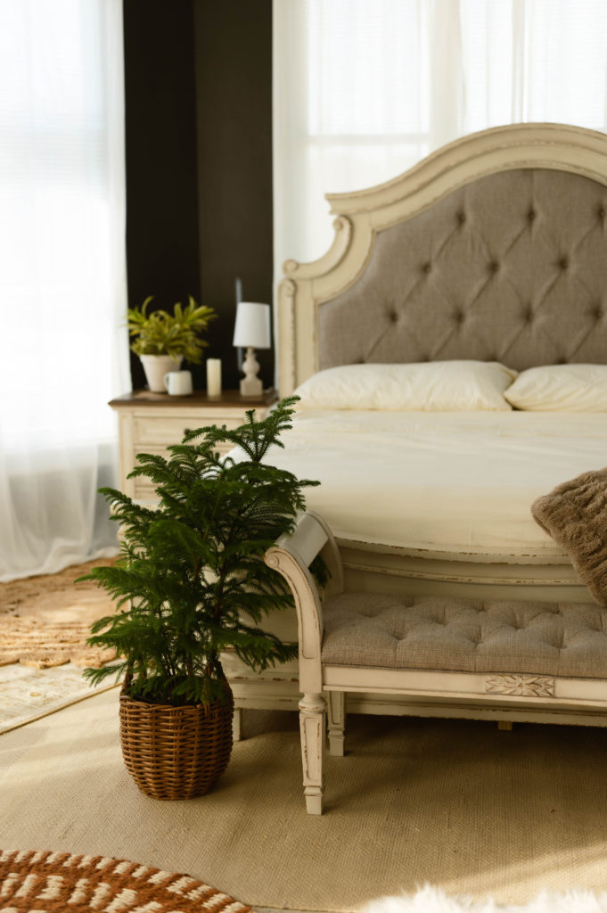 Potted fern at the end of a bed in a new studio for a boudoir photographer.