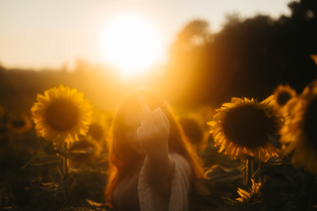 spontaneous sunflower photoshoot