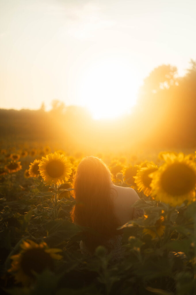 spontaneous sunflower photoshoot